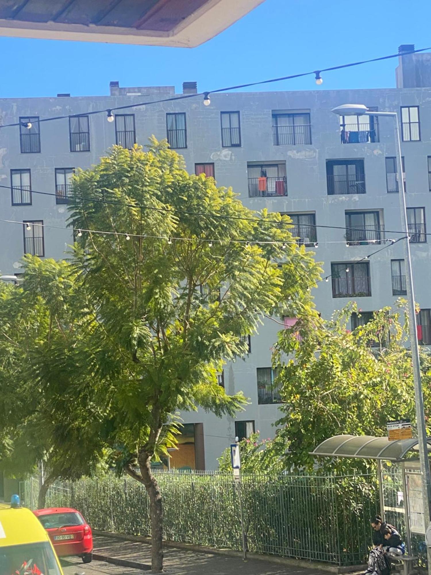 Apartmán Funchal Varzea Park Exteriér fotografie